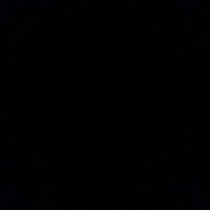 Meet your Posher, Precious